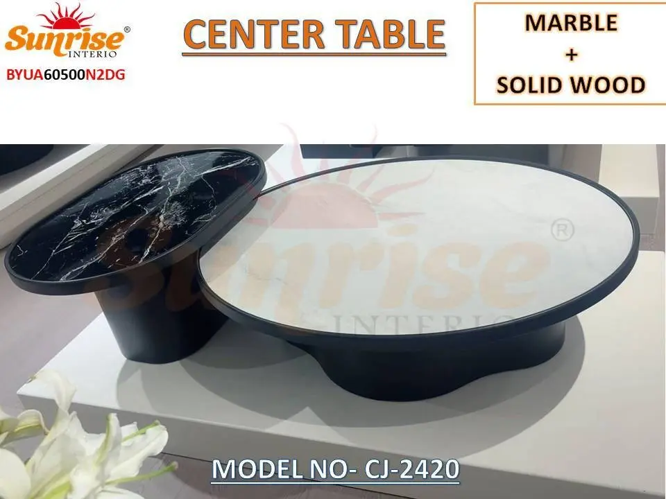 MARBLE + SOLID WOOD CENTER TABLE (CJ-2420)