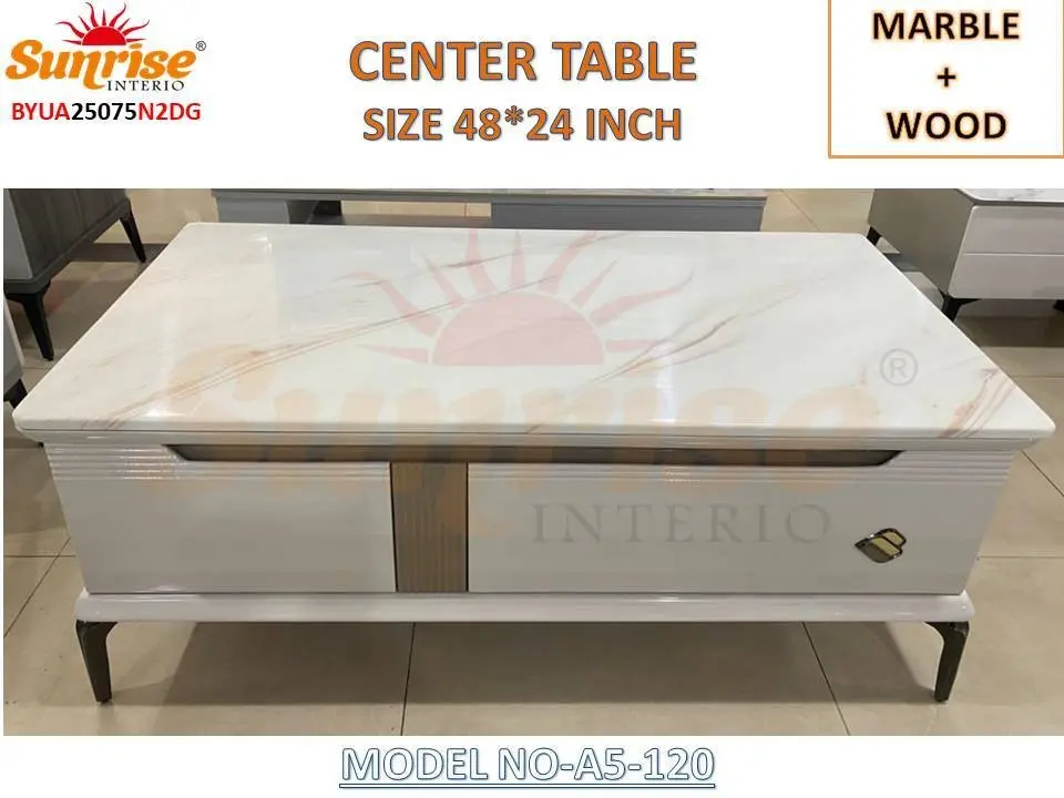 MARBLE + WOOD COMBO CENTER TABLE (A5-120)
